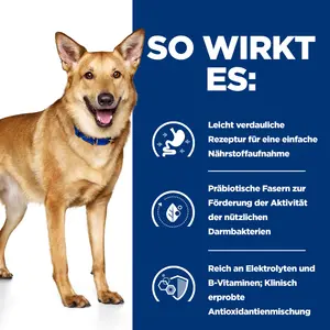 Hill's Prescription Diet i/d Ragout für Hunde mit Huhn und zugefügtem Gemüse