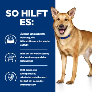 Hill's Prescription Diet i/d Ragout für Hunde mit Huhn und zugefügtem Gemüse