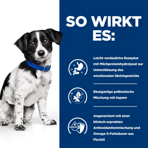 Hill's Prescription Diet i/d Stress Mini Ragout für Hunde mit Hühner- und Gemüsegeschmack