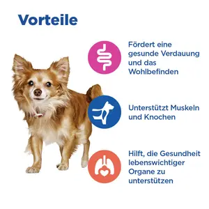 Hill's Vet Essentials MULTI-BENEFIT Adult Small & Mini Hundefutter mit Lamm und Reis