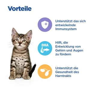 Hill's Vet Essentials MULTI-BENEFIT Kitten Kätzchenfutter mit Huhn