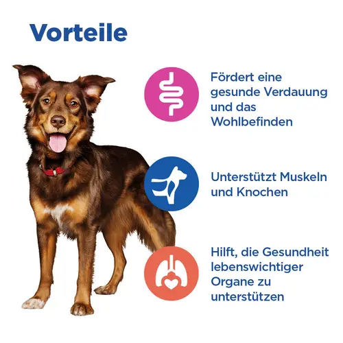 Hill's Vet Essentials MULTI-BENEFIT Adult Medium Hundefutter mit Lamm und Reis
