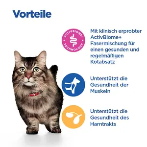 Hill's Vet Essentials MULTI-BENEFIT + Digestion Adult 1+ Katzenfutter mit Lachs