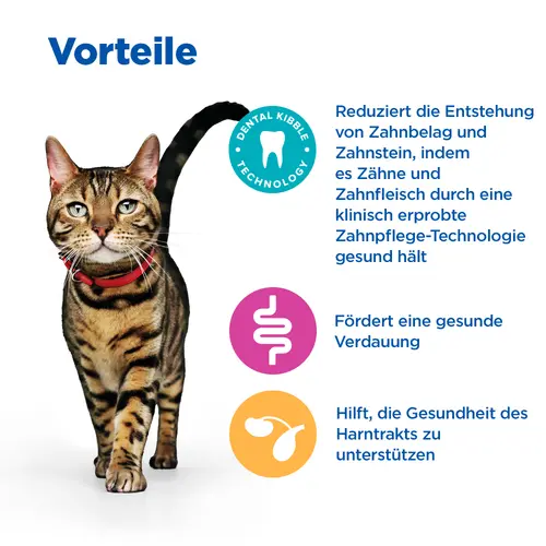 Hill's Vet Essentials MULTI-BENEFIT + Dental Adult 1+ Katzenfutter mit Huhn
