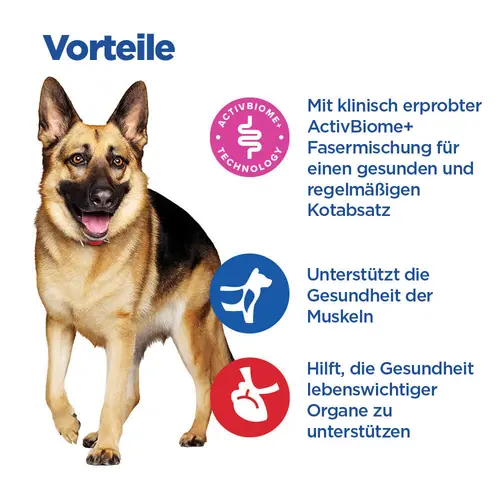Hill's Vet Essentials MULTI-BENEFIT + Digestion Adult 1+ Large Breed Hundefutter mit Huhn