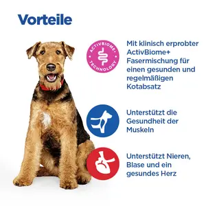 Hill's Vet Essentials MULTI-BENEFIT + Digestion Adult 1+ Medium Hundefutter mit Huhn
