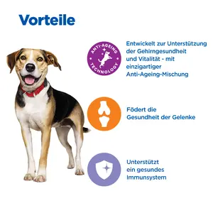 Hill's Vet Essentials MULTI-BENEFIT + Senior Health Mature Adult 7+ Medium & Large Breed Hundefutter mit Huhn