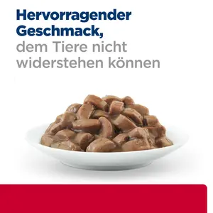 Hill's Prescription Diet c/d Multicare Stress Katzenfutter mit Lachs