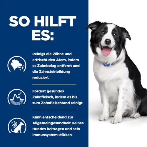 Hill's Prescription Diet t/d Hundefutter mit Huhn
