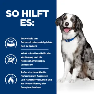 Hill's Prescription Diet i/d Sensitive Hundefutter mit Ei und Reis
