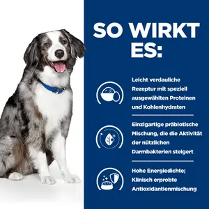 Hill's Prescription Diet i/d Sensitive Hundefutter mit Ei und Reis