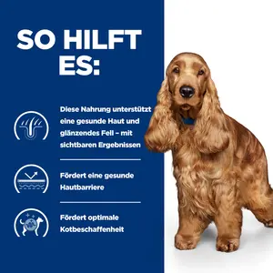 Hill's Prescription Diet z/d  Original Hundefutter