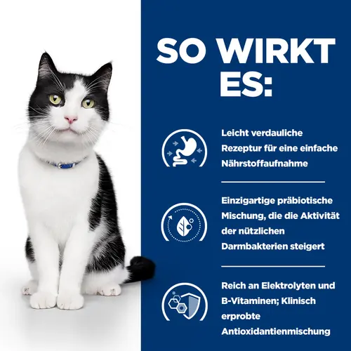 Hill's Prescription Diet i/d Katzenfutter mit Lachs