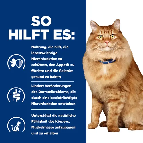 Hill's Prescription Diet k/d + Mobility Katzenfutter mit Huhn