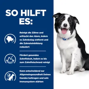 Hill's Prescription Diet t/d Hundefutter mit Huhn