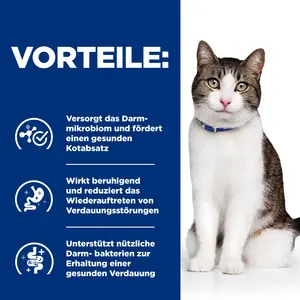 Hill's Prescription Diet Gastrointestinal Biome Stress Ragout für Katzen mit Huhn & zugefügtem Gemüse
