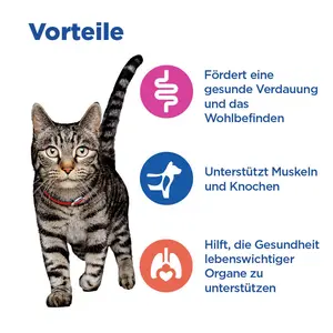 Hill's Vet Essentials MULTI-BENEFIT Adult Katzenfutter mit Huhn