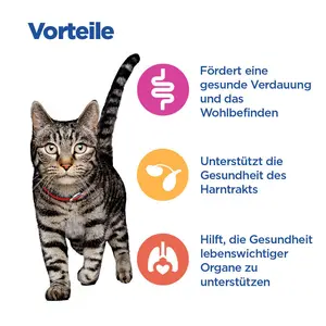 Hill's Vet Essentials MULTI-BENEFIT Mature Adult Katzenfutter mit Huhn