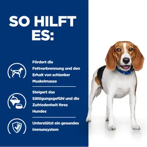 Hill's Prescription Diet r/d Hundefutter mit Huhn