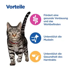 Hill's Vet Essentials MULTI-BENEFIT Adult Katzenfutter mit Huhn