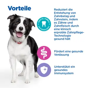 Hill's Vet Essentials MULTI-BENEFIT + Dental Adult 1+ Medium and Large Breed Hundefutter mit Huhn