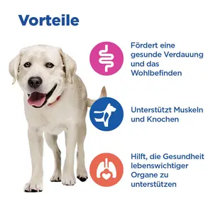 Hill's Vet Essentials MULTI-BENEFIT Adult Large Breed Hundefutter mit Lamm und Reis