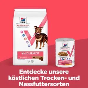 Hill's Vet Essentials MULTI-BENEFIT Adult Medium Hundefutter mit Lamm und Reis