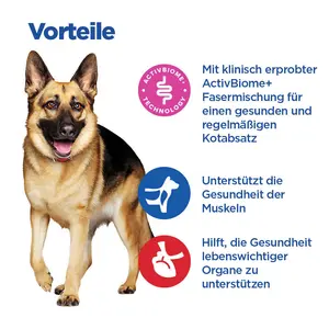 Hill's Vet Essentials MULTI-BENEFIT + Digestion Adult 1+ Large Breed Hundefutter mit Huhn