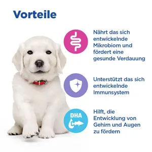 Hill's Vet Essentials MULTI-BENEFIT Large Breed Puppy Welpenfutter mit Huhn