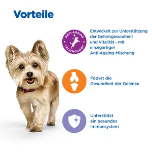 Hill's Vet Essentials MULTI-BENEFIT + Senior Health Mature Adult 7+ Small & Mini Hundefutter mit Huhn