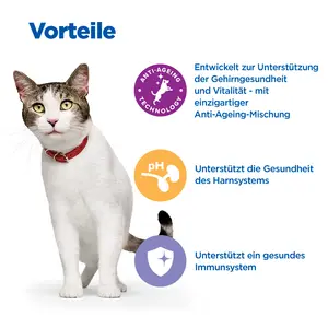 Hill's Vet Essentials MULTI-BENEFIT + Senior Health Mature Adult 7+ Katzenfutter mit Huhn