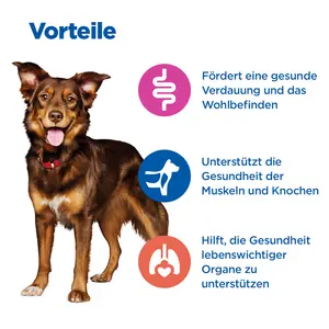 Hill's Vet Essentials Multi-Benefit Adult Hundefutter mit zartem Huhn und Gemüse