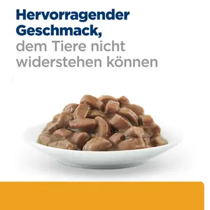 Hill's Prescription Diet c/d Multicare Katzenfutter mit Lachs