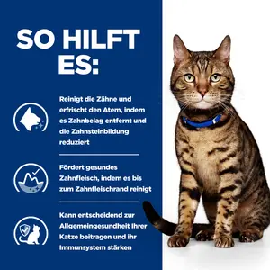 Hill's Prescription Diet t/d Katzenfutter mit Huhn