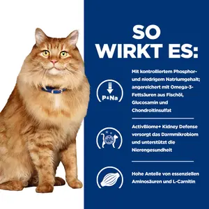 Hill's Prescription Diet k/d + Mobility Katzenfutter mit Huhn