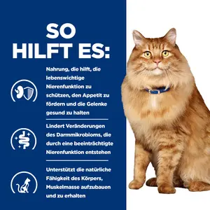 Hill's Prescription Diet k/d + Mobility Katzenfutter mit Huhn