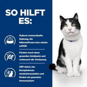 Hill's Prescription Diet i/d Katzenfutter mit Lachs