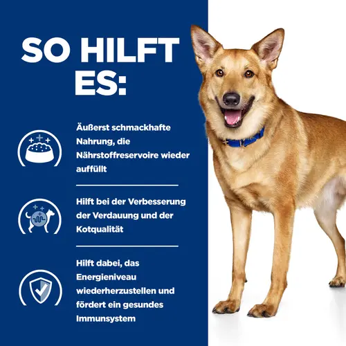Hill's Prescription Diet i/d Ragout für Hunde mit Huhn und zugefügtem Gemüse