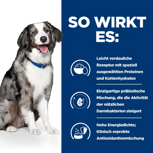 Hill's Prescription Diet i/d Sensitive Hundefutter mit Ei und Reis