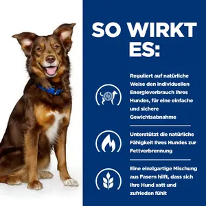 Hill's Prescription Diet Metabolic Hundefutter mit Rind