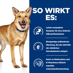 Hill's Prescription Diet i/d Hundefutter mit Truthahn