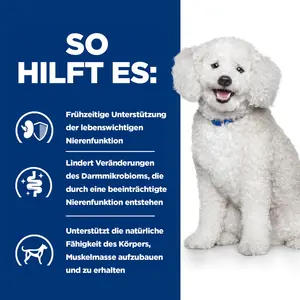 Hill's Prescription Diet k/d Early Stage Original Hundefutter