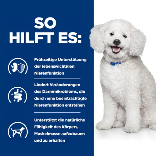 Hill's Prescription Diet k/d Early Stage Original Hundefutter