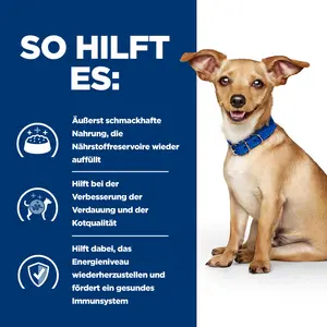 Hill's Prescription Diet i/d Ragout für Hunde mit Huhn und zugefügtem Gemüse