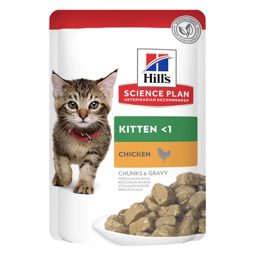 Hill's Science Plan Kitten Kätzchenfutter mit Huhn