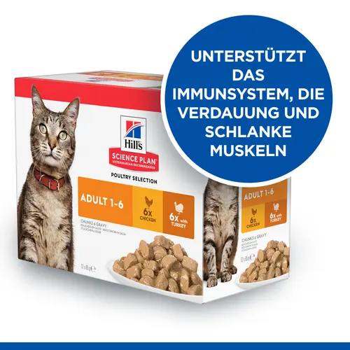 Hill's SCIENCE PLAN Adult Multipack Nassfutter für Katzen mit Huhn