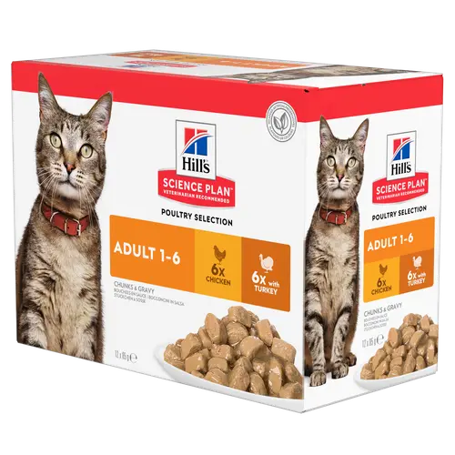 Hill's SCIENCE PLAN Adult Multipack Nassfutter für Katzen mit Huhn