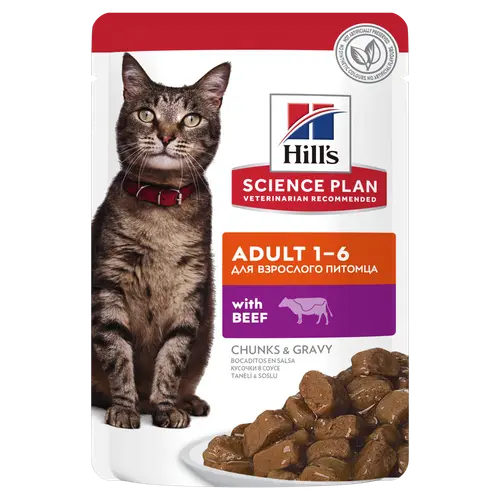 Hill's Science Plan Adult Katzenfutter mit Rind