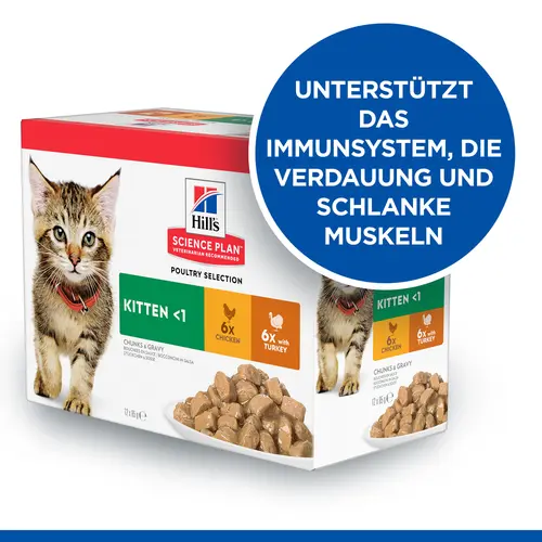Hill's SCIENCE PLAN Kitten Katzenfutter