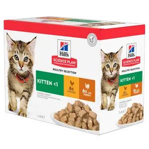 Hill's SCIENCE PLAN Kitten Katzenfutter